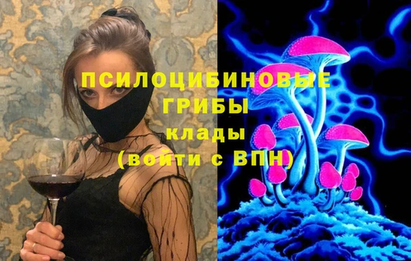 ПСИЛОЦИБИНОВЫЕ ГРИБЫ Аркадак