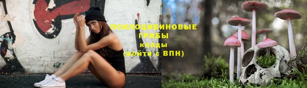 мет Арсеньев