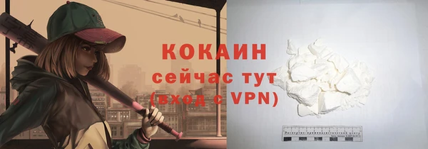 мет Арсеньев