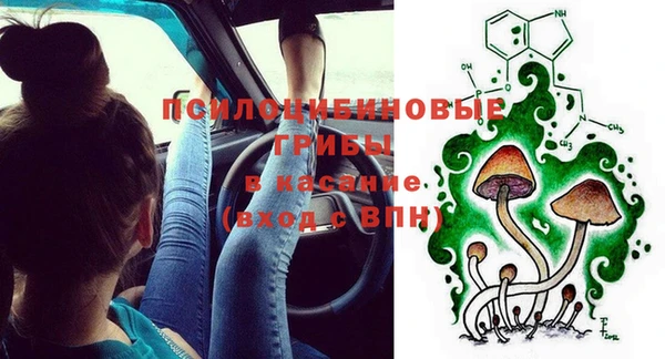 ПСИЛОЦИБИНОВЫЕ ГРИБЫ Аркадак