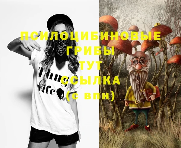 мет Арсеньев