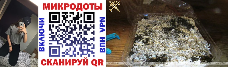 Купить закладки  Малмыж  Псилоцибиновые грибы ЛСД 